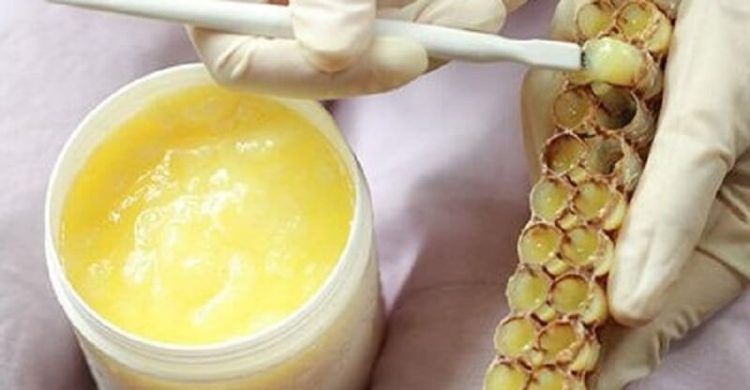 Arı sütü tüketimi